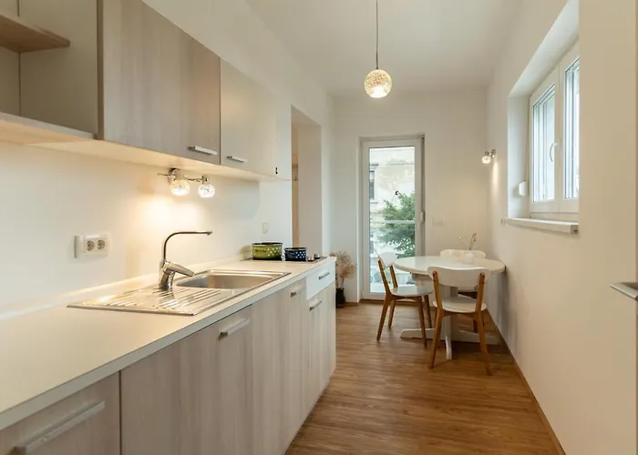 Hiša za goste Baron