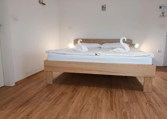 Baron Hiša za goste