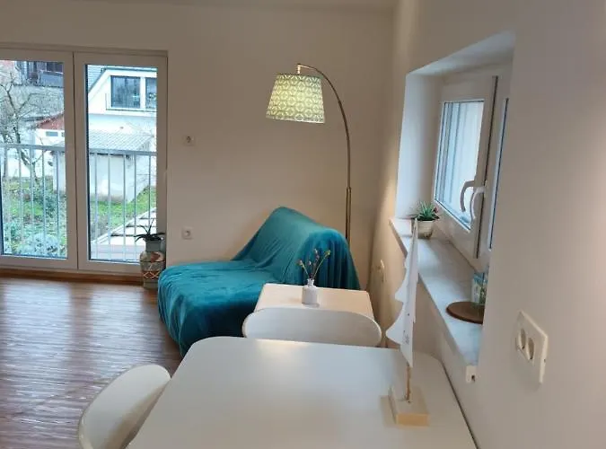 Hiša za goste Baron 3*