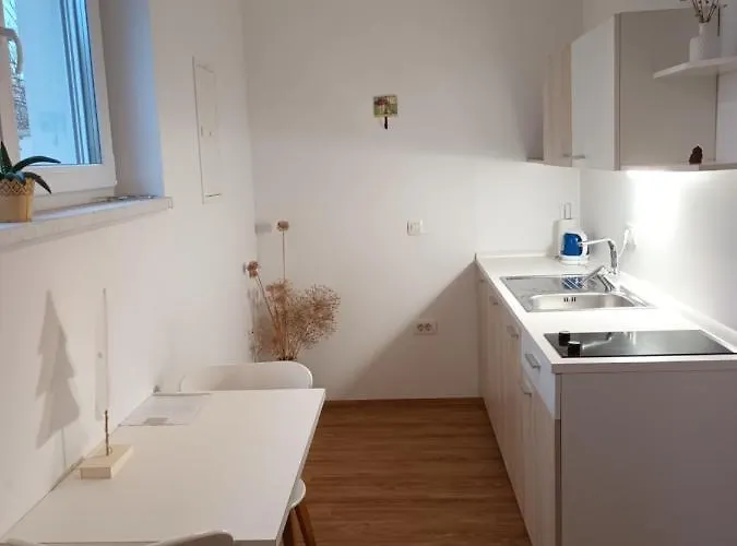 Baron Hiša za goste