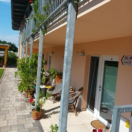 Baron Guest house *