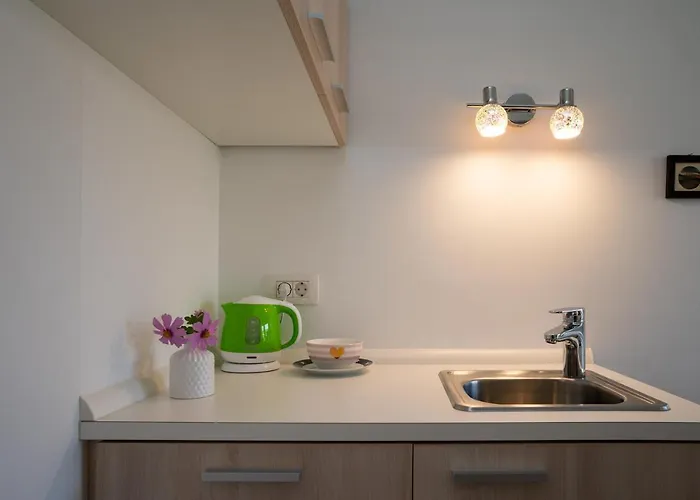 Baron Pensión Liubliana